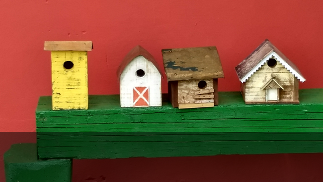 Walker Family Nature Sanctuary Piraquara Brazil