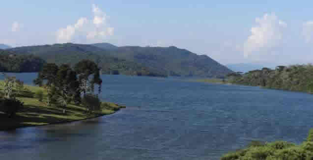 Walker Family Nature Sanctuary Piraquara Brazil