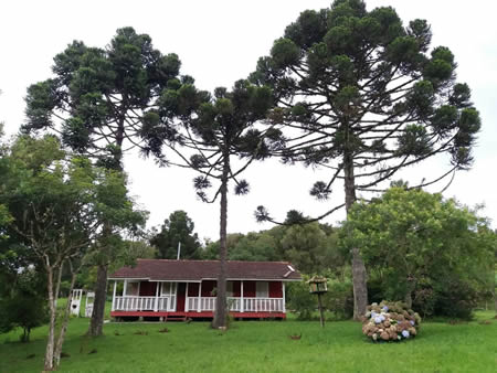 Walker Family Nature Sanctuary Piraquara Brazil