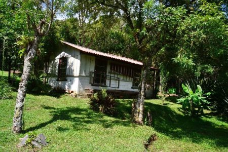 Walker Family Nature Sanctuary Piraquara Brazil