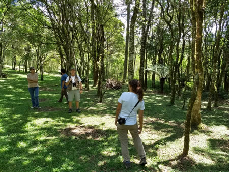Volunteers Santu&aacute;rio da Natureza Fam&iacute;lia Walker