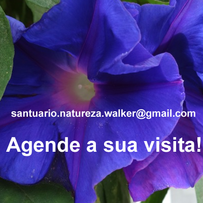 Contact Agenda Sua Visita